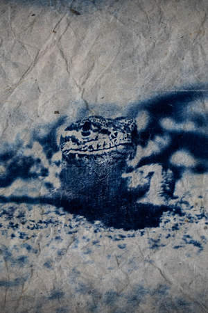 Blue Sun Lizard