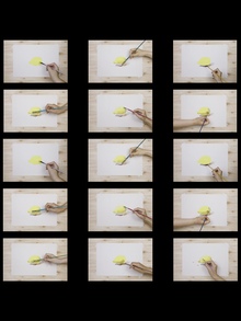 Mirroring· High Score Pears
