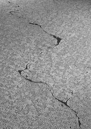 Мотои Ямомото: соль и память