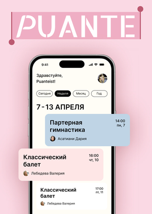 Приложение «PUANTE»