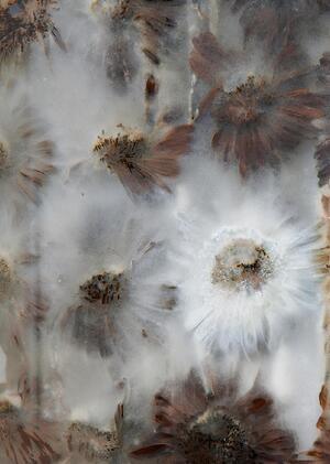 Эфемерное искусство