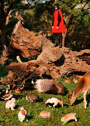 Архетип райского сада в современной модной фотографии