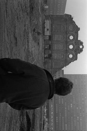 Эхо войны в памяти города