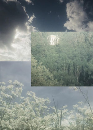 Низвержение идолов в фильмах Александра Сокурова