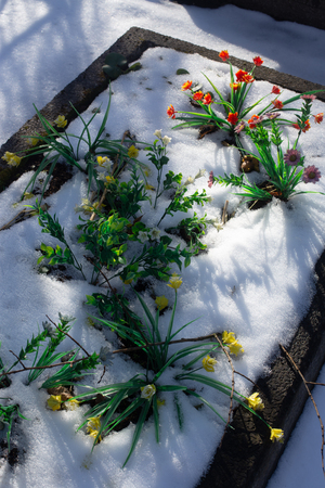 Возвращение