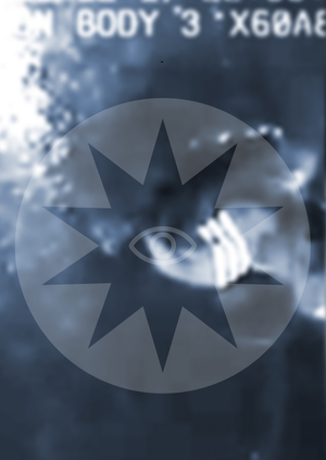 THE HUMAN CHRONICLES* FESTIVAL