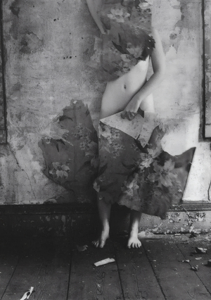 Возвышенное и прекрасное в экзистенциальном переживании Франчески Вудман