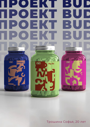 Проект упаковка "bud"