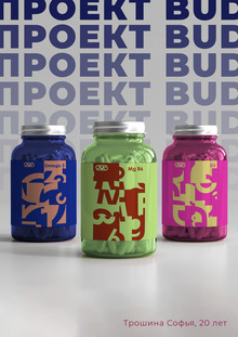 Проект упаковка «bud» Проект упаковка «bud»