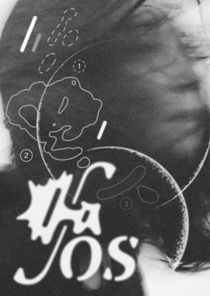 Printed publication on local film workshops