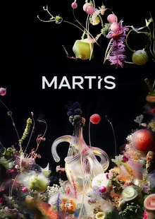 бренд украшений MARTIS