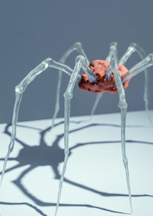 Выставка "О хрупкости и силе" 