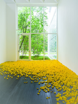 Экология в контексте современного искусства