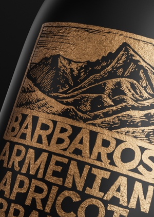 Айдентика компании Barbaros