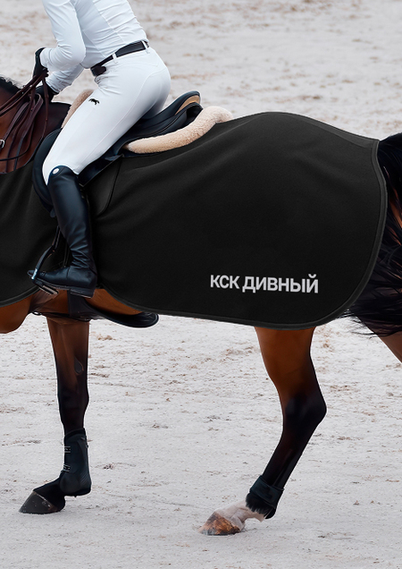 Айдентика для конноспортивного клуба Дивный