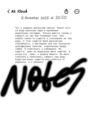 Зин "Notes"