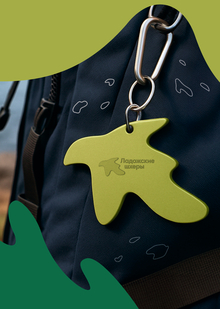 Брендинг Национального парка «Ладожские шхеры»