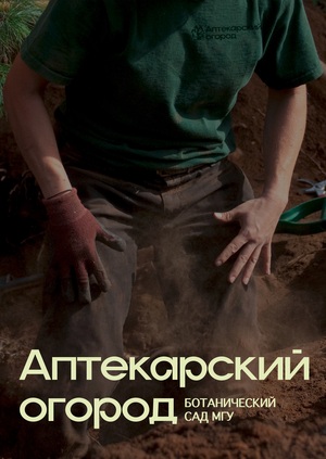 Ребрендинг Аптекарского огорода