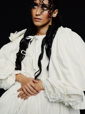 Paseshniс: профайл бренда