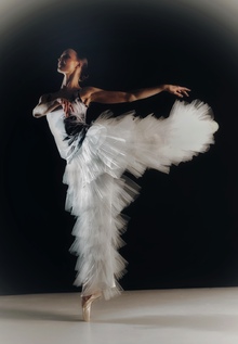 dying swan