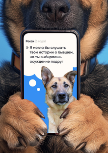 Как говорить приюту: универсальная система коммуникации