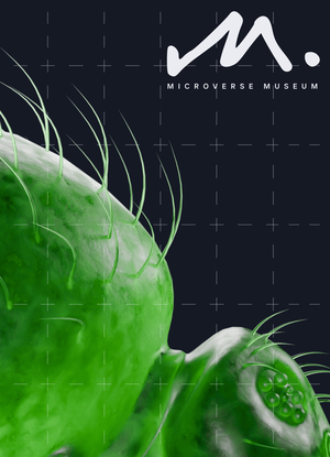 MICROVERSE MUSEUM