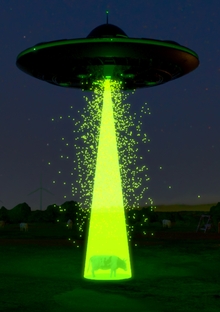 UFO&nbsp;— Cow Abduction