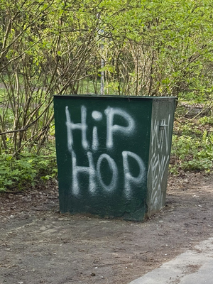 на мусорке нашла.