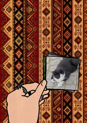 Девять жизней Турции