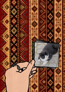 Девять жизней Турции