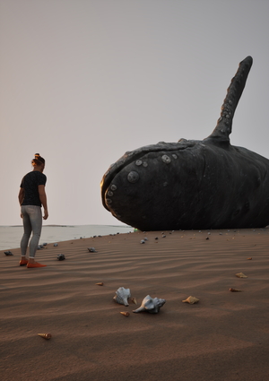Whale