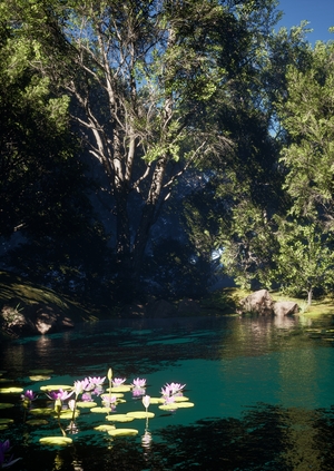 Лесной пруд