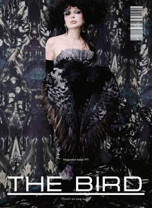 THE BIRD THE BIRD