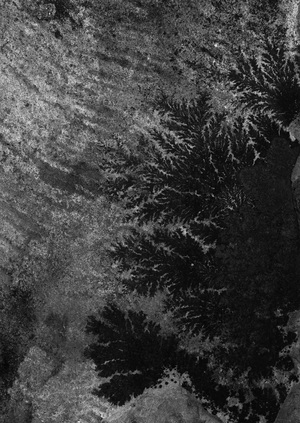 boundaries of the merger/границы слияния