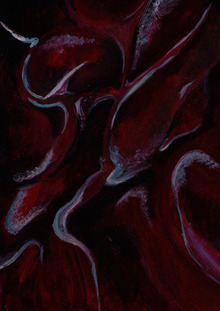 П&nbsp;р&nbsp;и&nbsp;н&nbsp;т