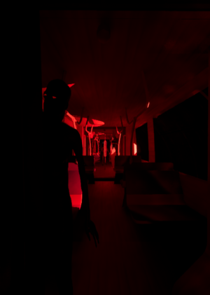 NIGHT PASSENGER