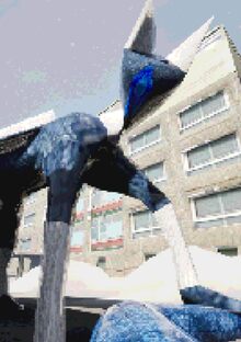 Cold Insulation