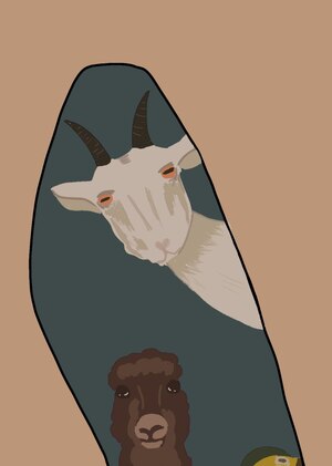 течение времени 