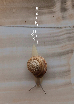Traces of Unsaid. Digital poetry