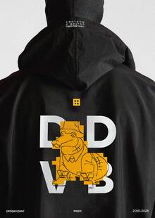 DDVB