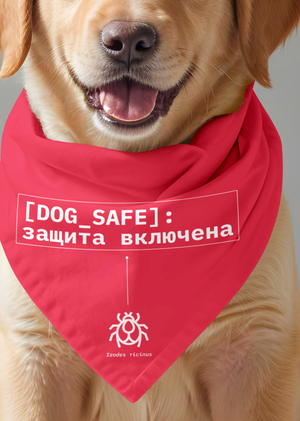 [ВЫХОД: сеть] → локация: живой лес