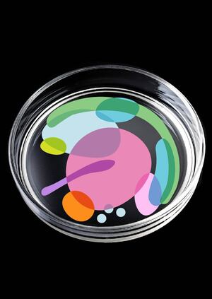 НИИ ДЛЯ САМЫХ МАЛЕНЬКИХ