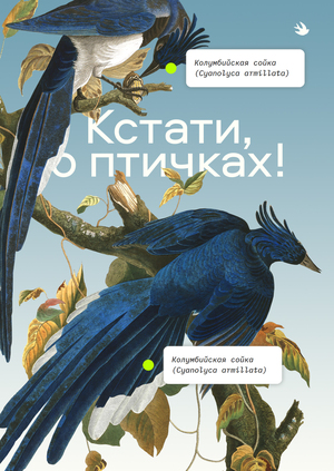Speaking of birds!