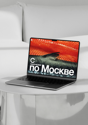 С палочками по Москве 