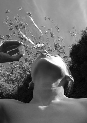 майский разгуляй