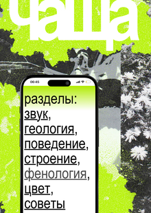 Медиа ЧАЩА