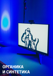 ИНТЕРАКТИВНАЯ ИНСТАЛЛЯЦИЯ
ОРГАНИКА И СИНТЕТИКА
2021