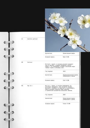 Neuronet architectures in Shinseungback Kimyoughun