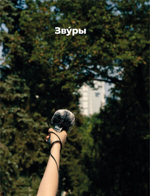 Серия звуковых прогулок, посвященных коми-пермяцкому языку, «Звýры»