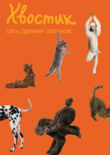 Ребрендинг груминг-салона Ребрендинг груминг-салона